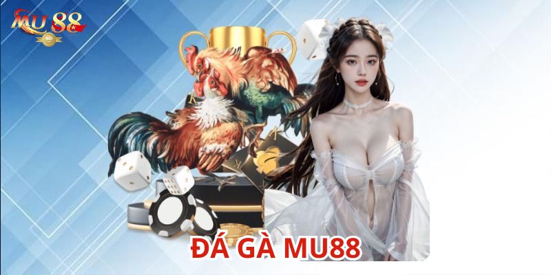 Đá gà Mu88 đẳng cấp và đầy bản lĩnh