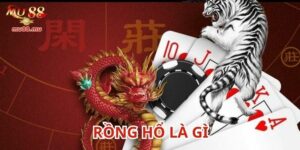 Rồng hổ là trò chơi thú vị